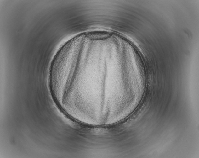 X0000110881379200907021448