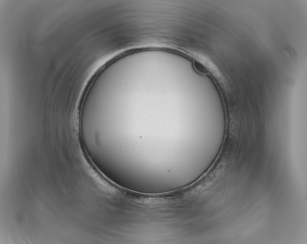 X0000110881380200907021448
