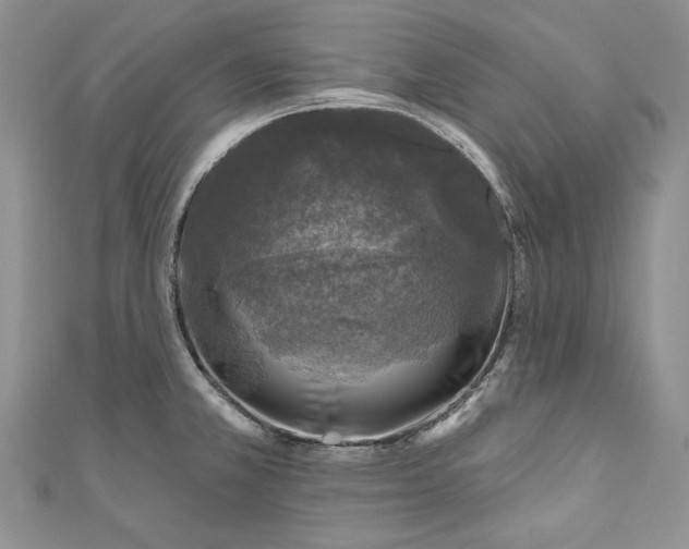 X0000110881381200907021448