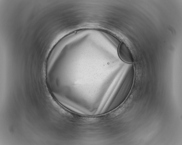 X0000110881382200907021448