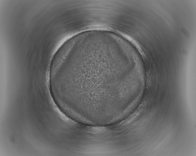 X0000110881383200907021448