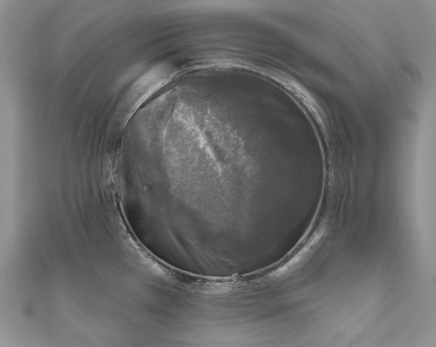 X0000110881385200907021448