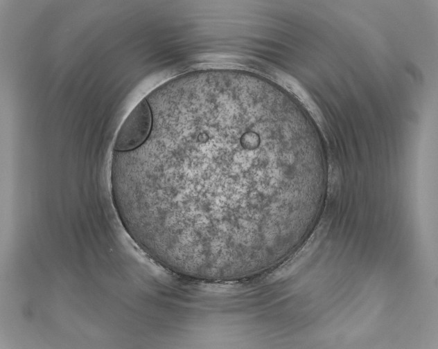 X0000110881386200907021448