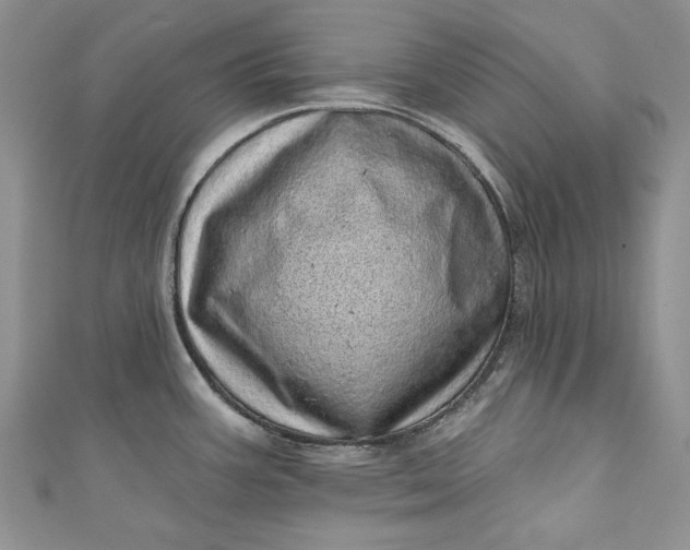X0000110881387200907021448