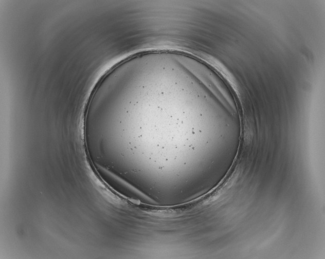 X0000110881388200907021448