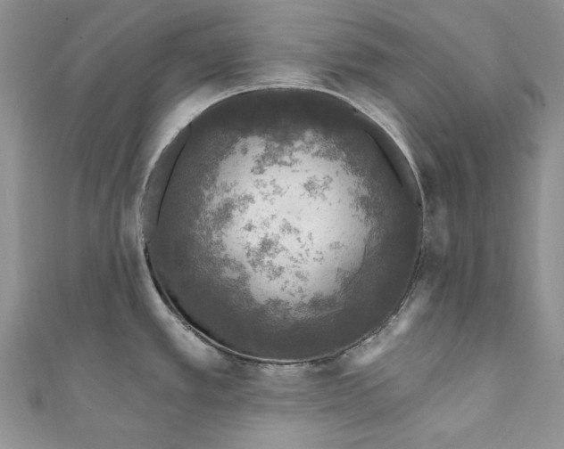 X0000110881389200907021448