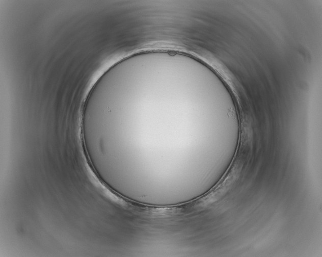 X0000110881390200907021448