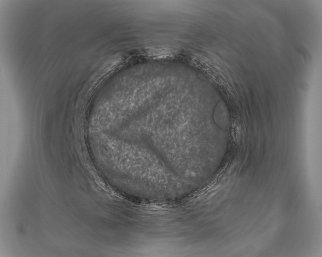 X0000110881393200907021447