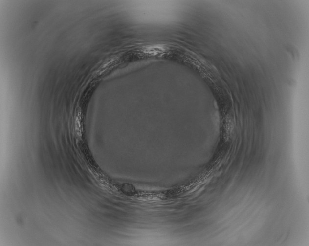 X0000110881394200907021447