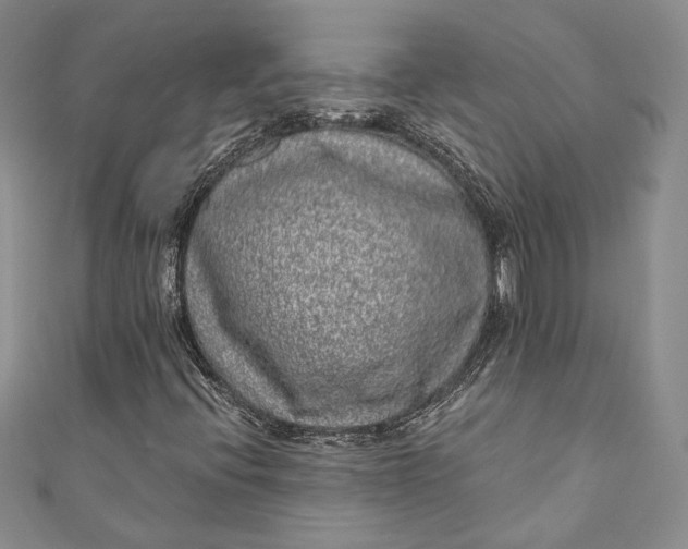 X0000110881396200907021447