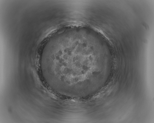 X0000110881399200907021447