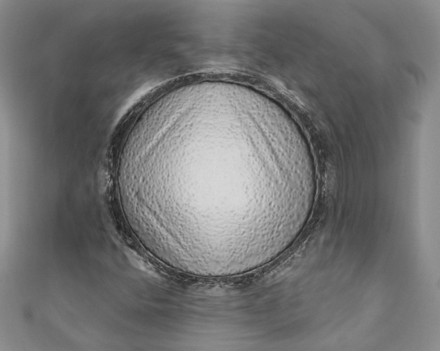 X0000110881400200907021447
