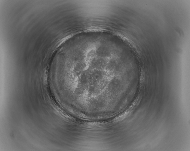 X0000110881401200907021447