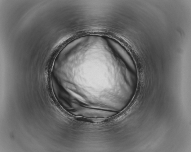 X0000110881402200907021447