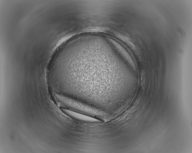 X0000110881404200907021447