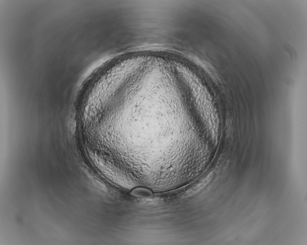 X0000110881406200907021447