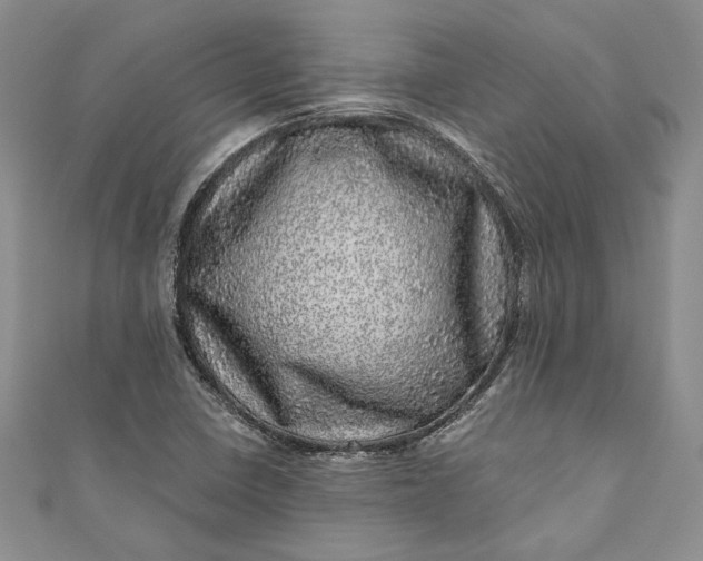 X0000110881410200907021447
