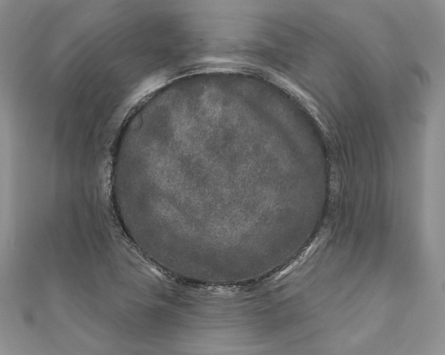 X0000110881411200907021447