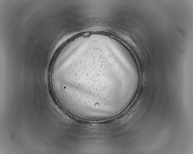 X0000110881412200907021447