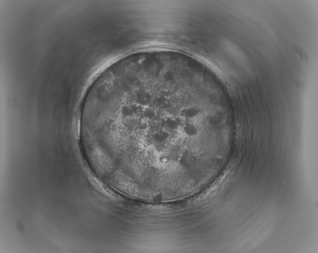 X0000110881413200907021448