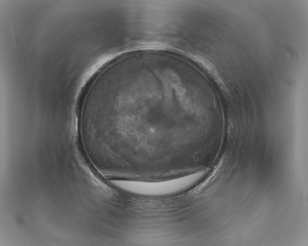 X0000110881414200907021448