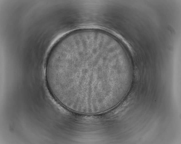 X0000110881416200907021448