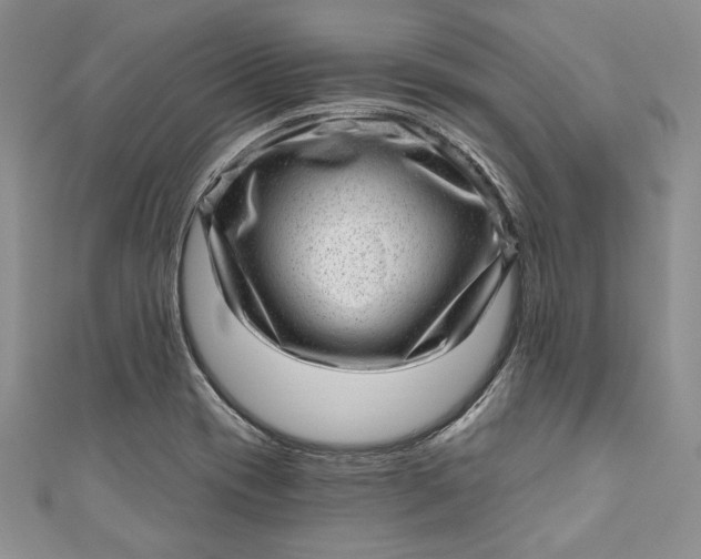 X0000110881417200907021448