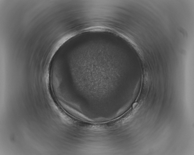 X0000110881418200907021448