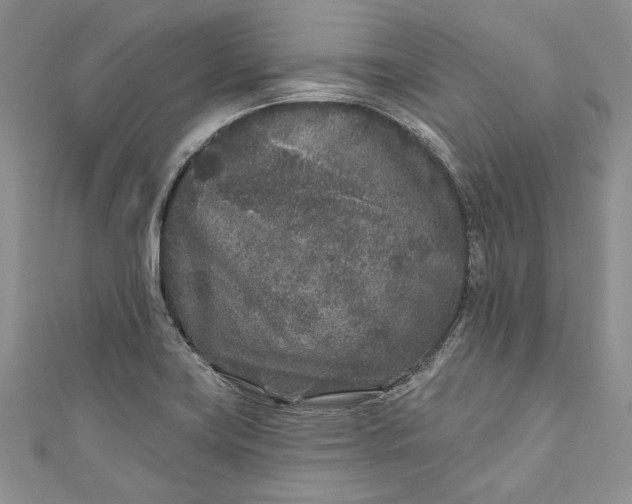X0000110881419200907021448
