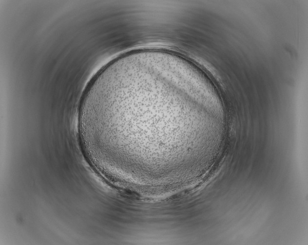 X0000110881420200907021448