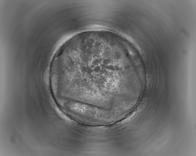 X0000110881421200907021448