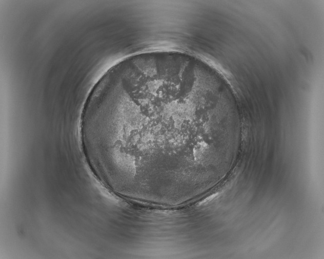 X0000110881423200907021448