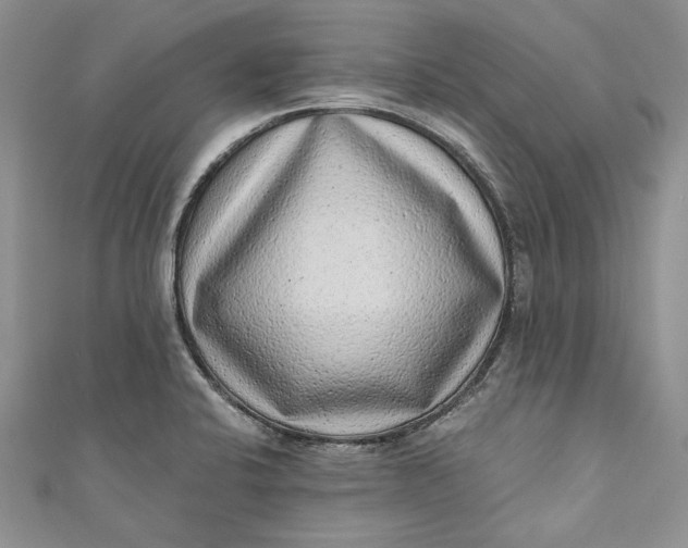 X0000110881424200907021448