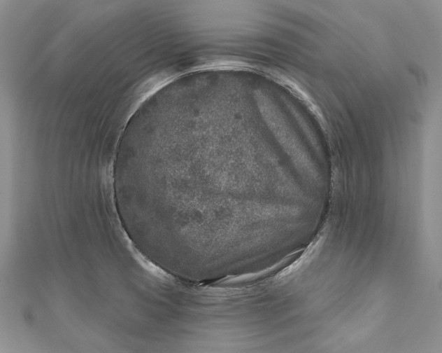 X0000110881425200907021448