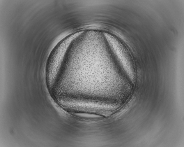 X0000110881426200907021448