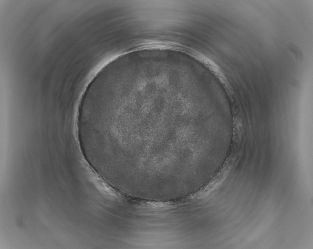 X0000110881427200907021448