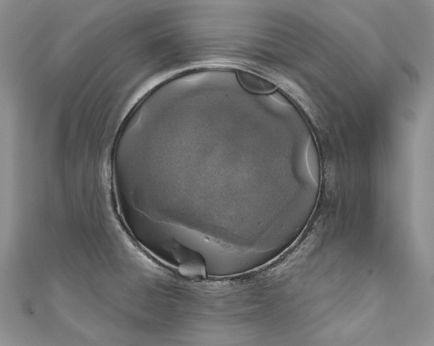 X0000110881428200907021448