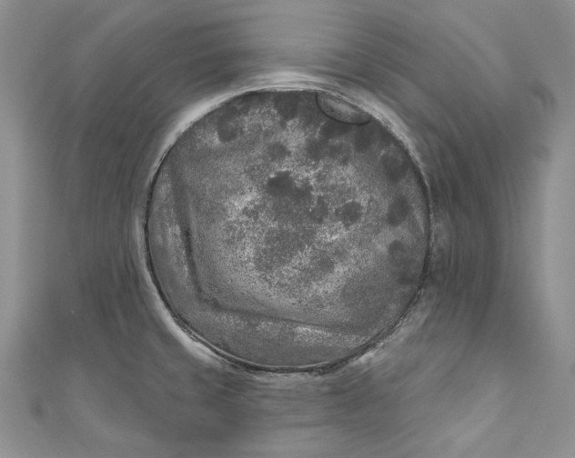 X0000110881429200907021448