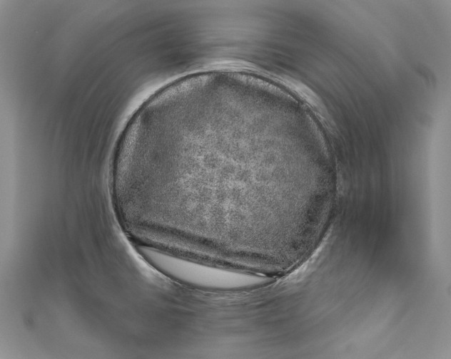 X0000110881430200907021448