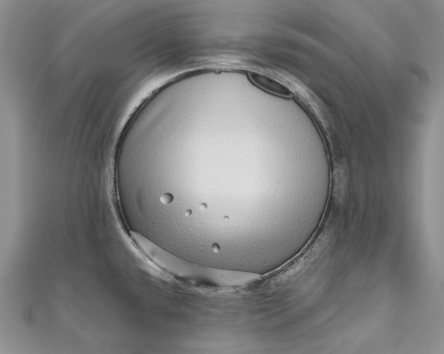 X0000110881432200907021448