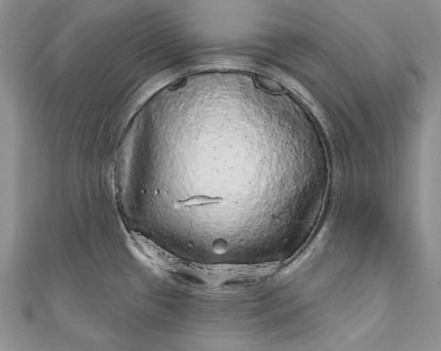 X0000110881433200907021448