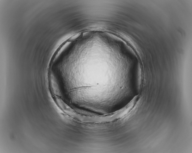 X0000110881434200907021448