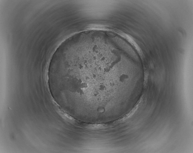 X0000110881435200907021448