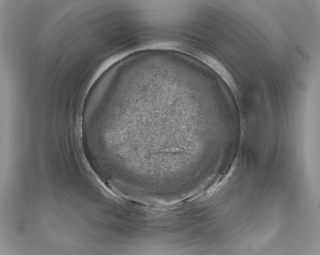 X0000110881436200907021448