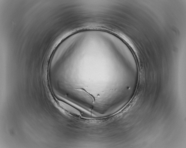 X0000110881437200907021448