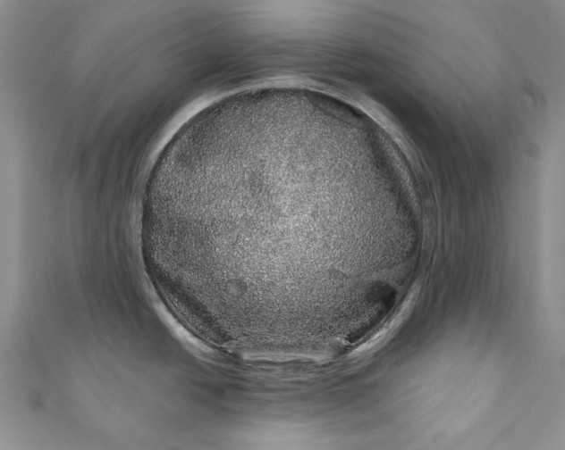 X0000110881438200907021448