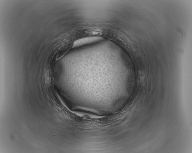 X0000110881442200907021447