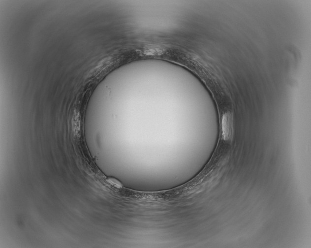 X0000110881443200907021447