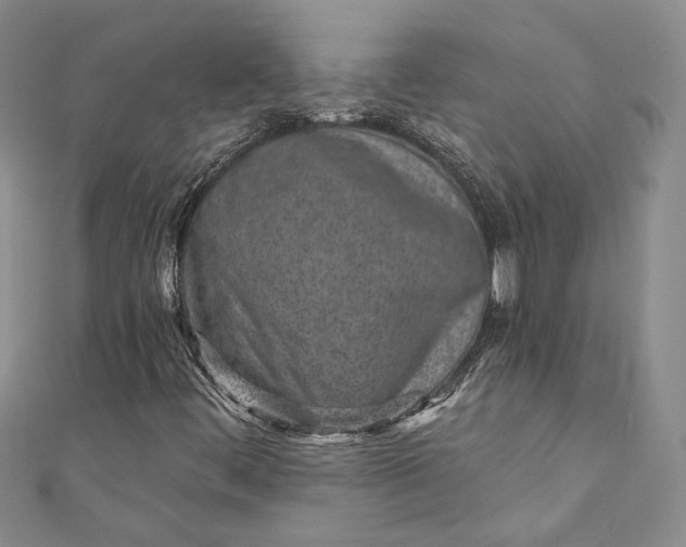 X0000110881444200907021447