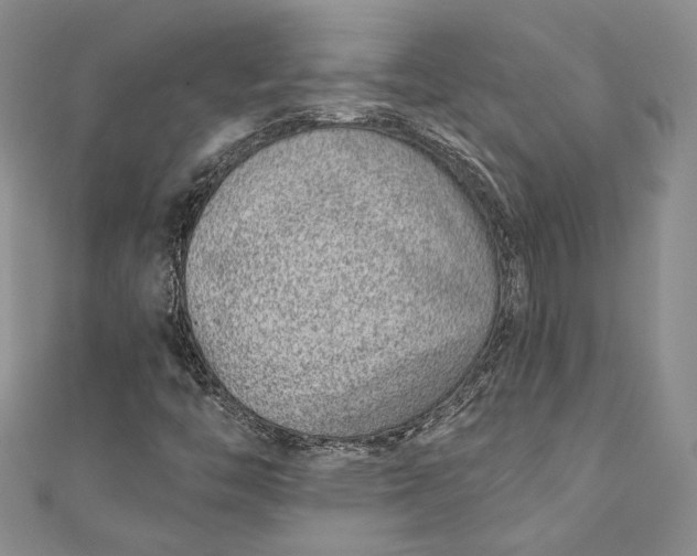 X0000110881446200907021447
